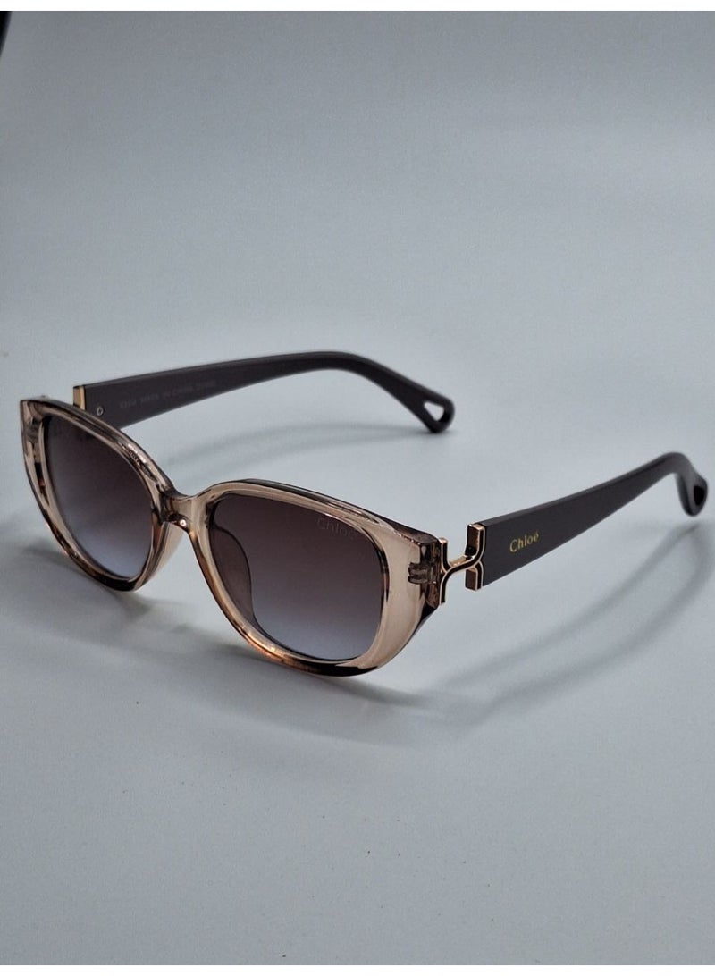 Chloé Women’s Square Sunglasses with Gradient Lenses – Transparent Brown Frame